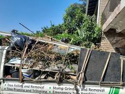 Best Yard Waste Removal  in Billings, MT